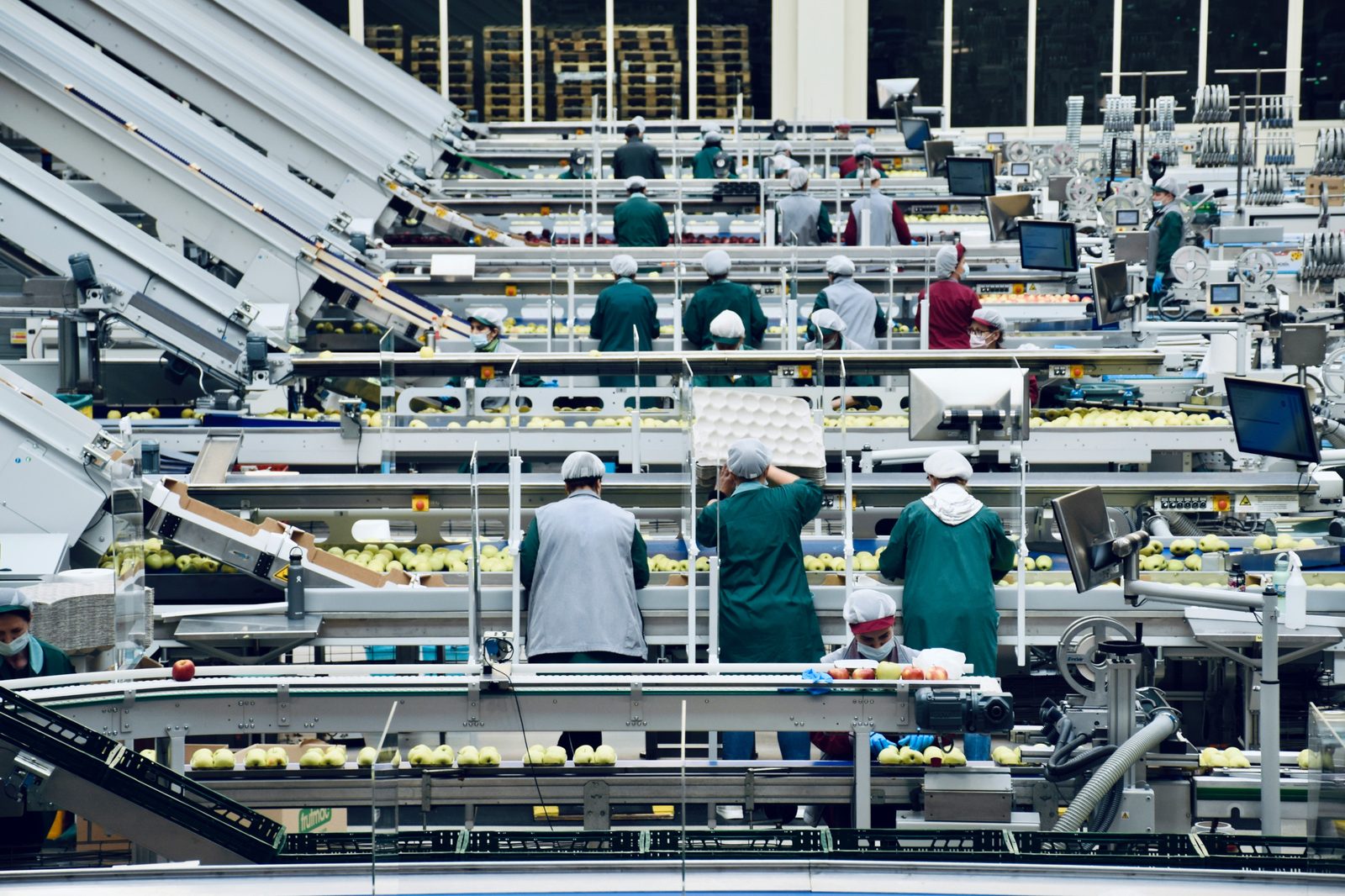 Food Production