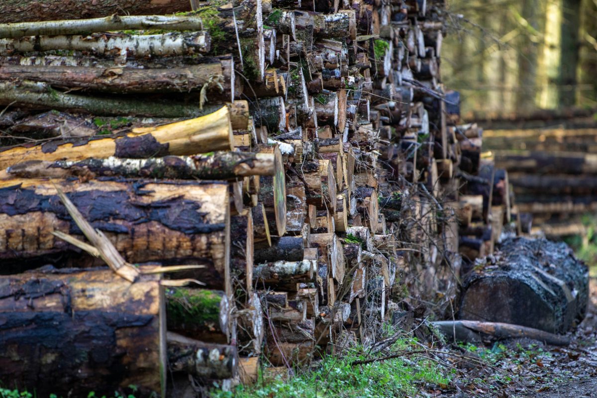 Forestry & Agribusiness